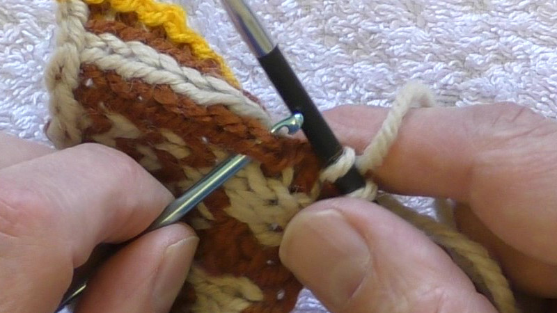 Crochet hook inserted behind legs of edge stitch.