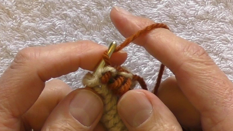Crochet hook inserted from front to back of the fabric with the working yarn being wrapped around the hook.